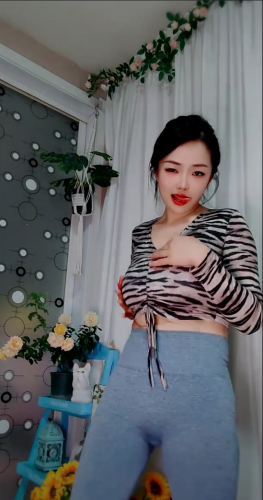 【20250415期】--吴司令